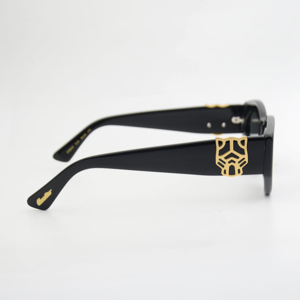 SOLAIRE : CARTIER CT0313 BLACK