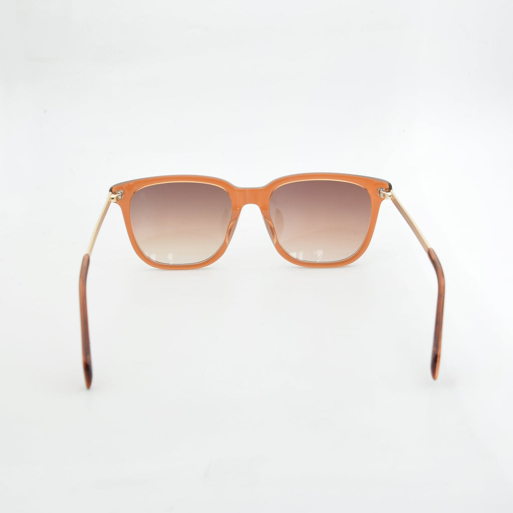 SOLAIRE :DAVID BECKHAM DB7067F/S MARRON